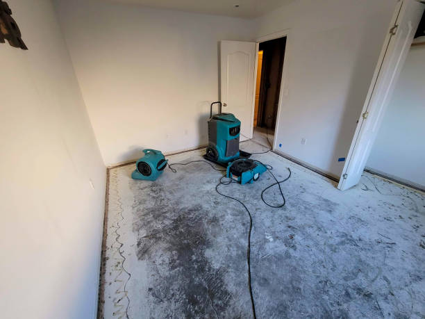  San Marcos, CA Water damage restoration Pros