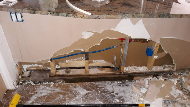 Best Water damage cleanup near me  in San Marcos, CA