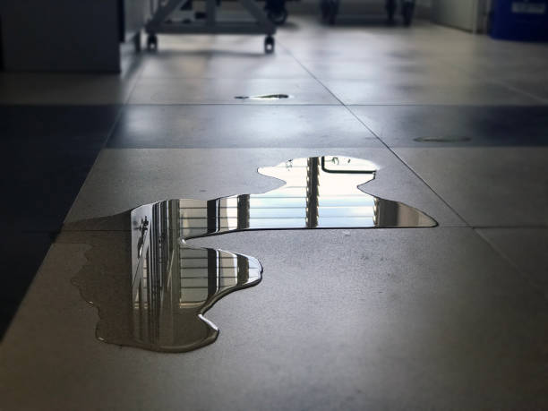 Best Water damage restoration near me  in San Marcos, CA