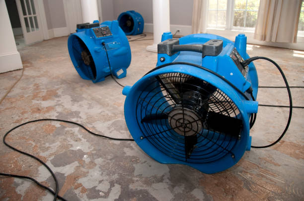 Best Commercial water damage restoration  in San Marcos, CA